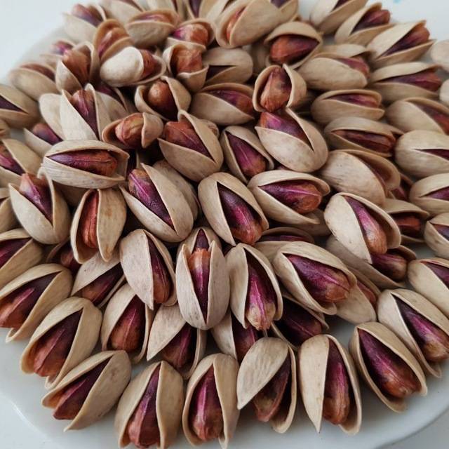 تصویر 4 از خرید و قیمت پسته اکبری تازه  و ممتاز + درشت با طعم بینظیر
